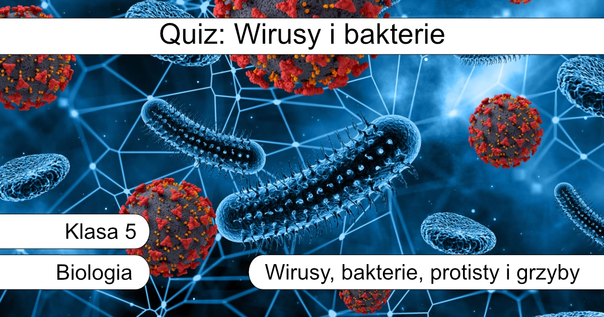 Quiz: Wirusy i bakterie