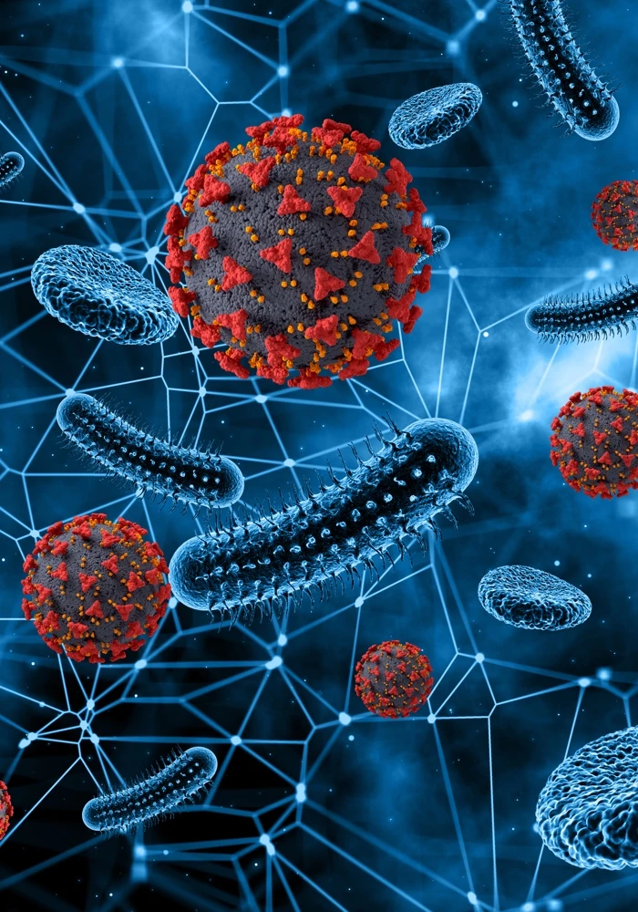 Quiz: Wirusy i bakterie