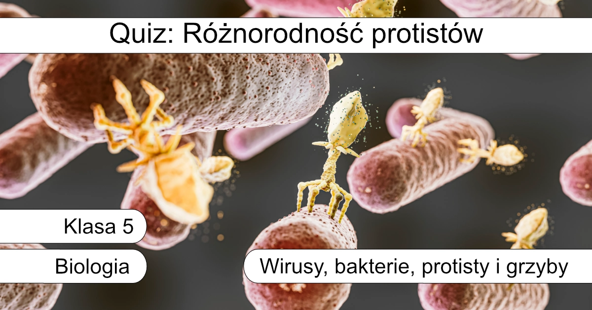 Quiz: Różnorodność protistów
