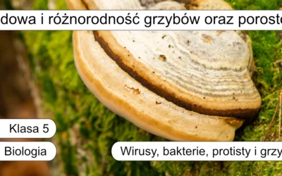 Quiz: Budowa i różnorodność grzybów oraz porostów