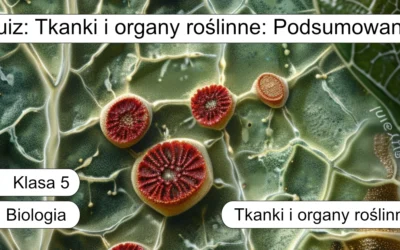 Quiz: Tkanki i organy roślinne: Podsumowanie