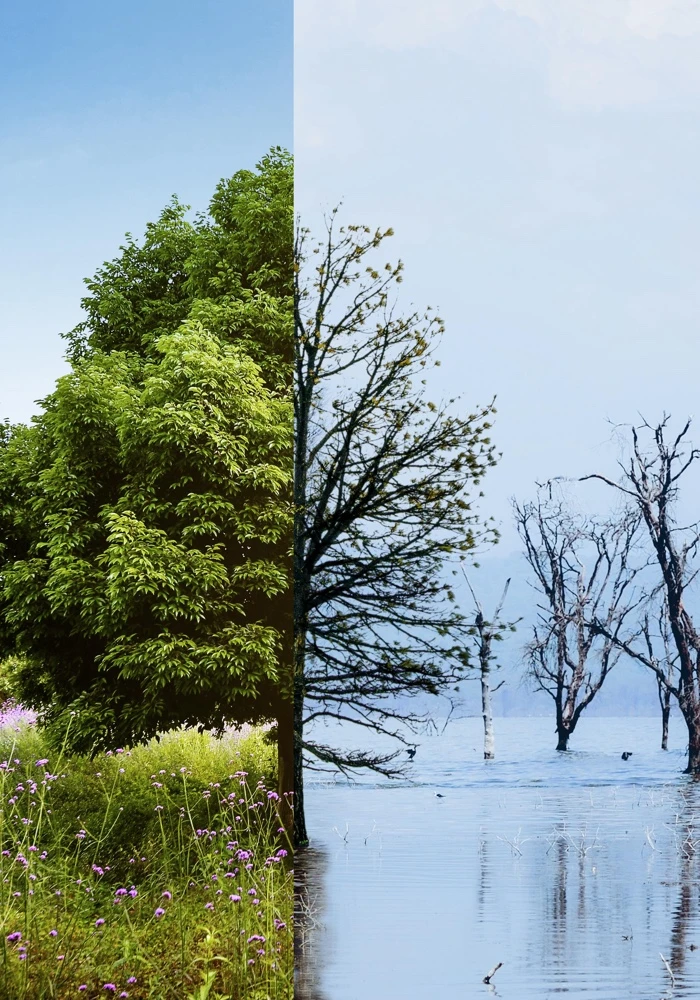 Quiz: Strefowość i piętrowość klimatyczno-roślinna na świecie