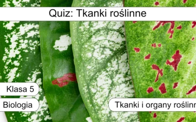 Quiz: Tkanki roślinne