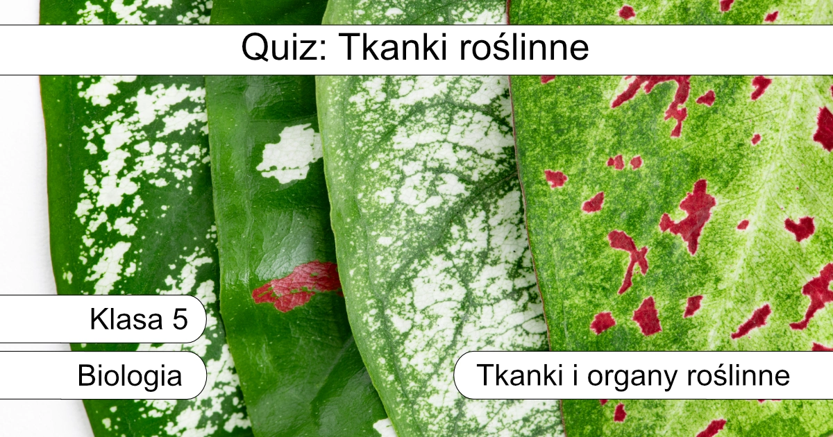 Quiz: Tkanki roślinne