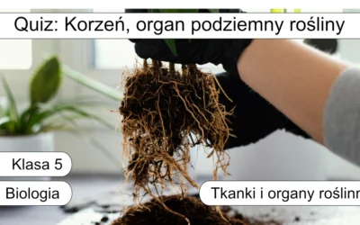Quiz: Korzeń: organ podziemny rośliny