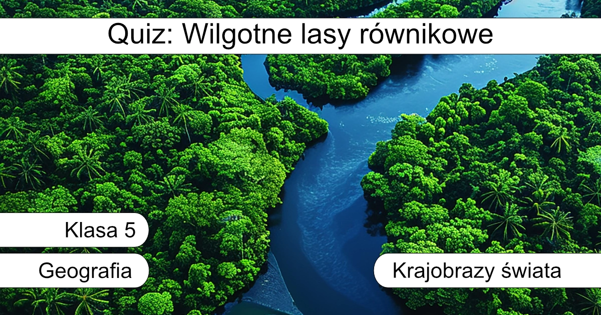 Quiz: Wilgotne lasy równikowe