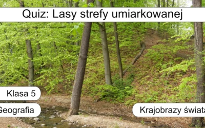 Quiz: Lasy strefy umiarkowanej