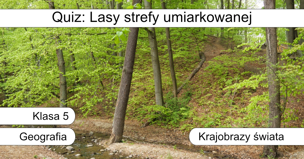 Quiz: Lasy strefy umiarkowanej