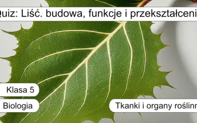 Quiz: Liść: budowa, funkcje i przekształcenia