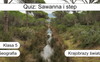 Quiz: Sawanna i step