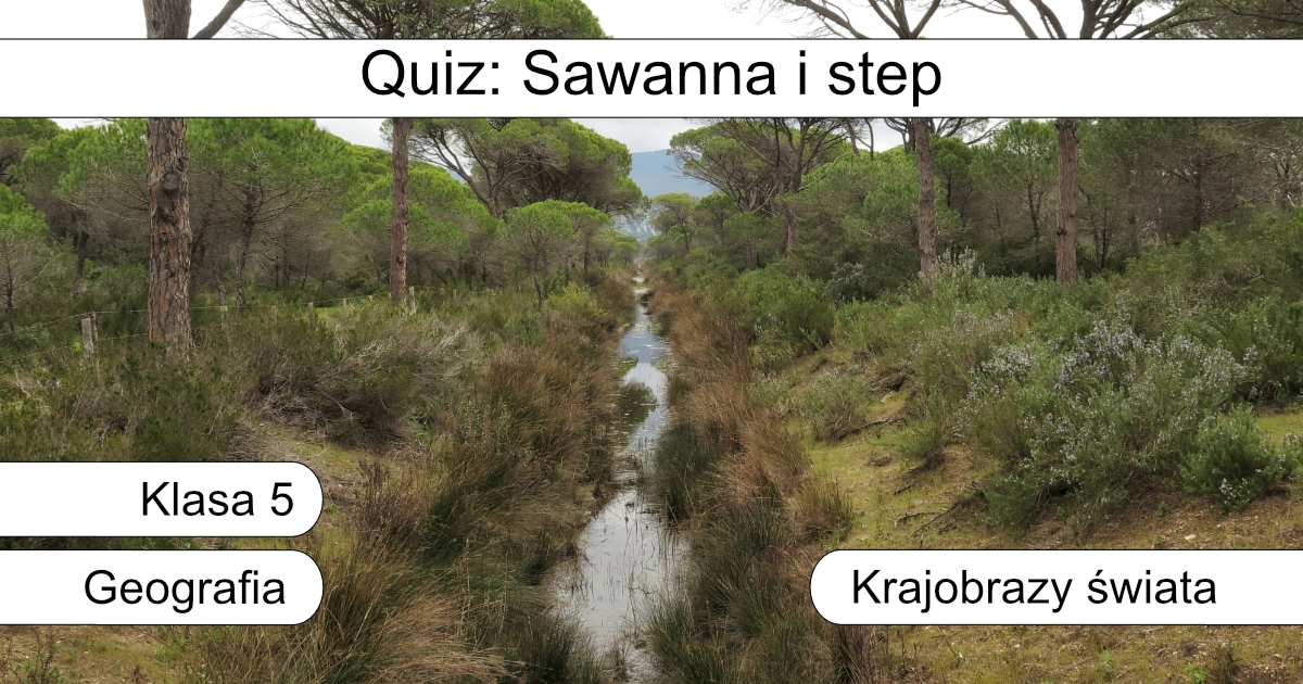 Quiz: Sawanna i step