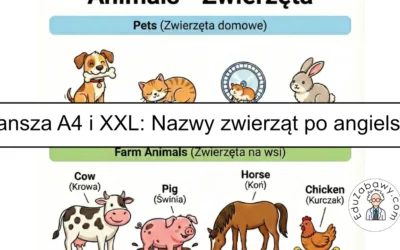 Plansza dydaktyczna po angielsku: Słownictwo: zwierzęta