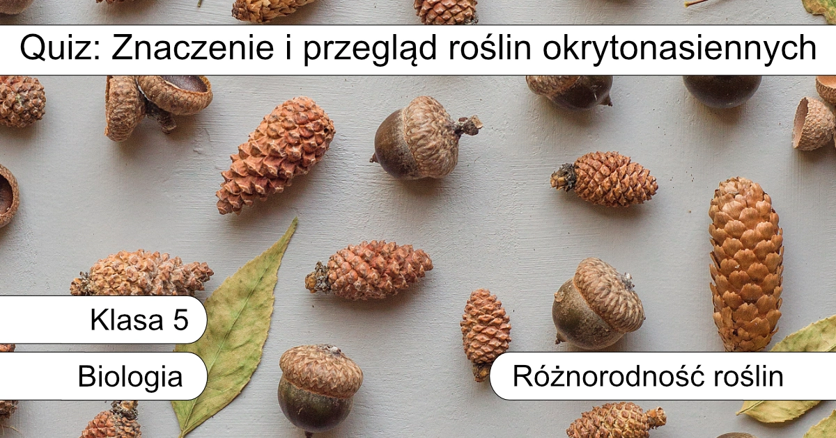 Quiz: Znaczenie i przegląd roślin okrytonasiennych