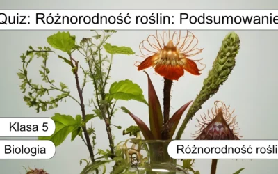 Quiz: Różnorodność roślin: Podsumowanie