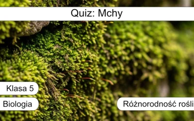 Quiz: Mchy