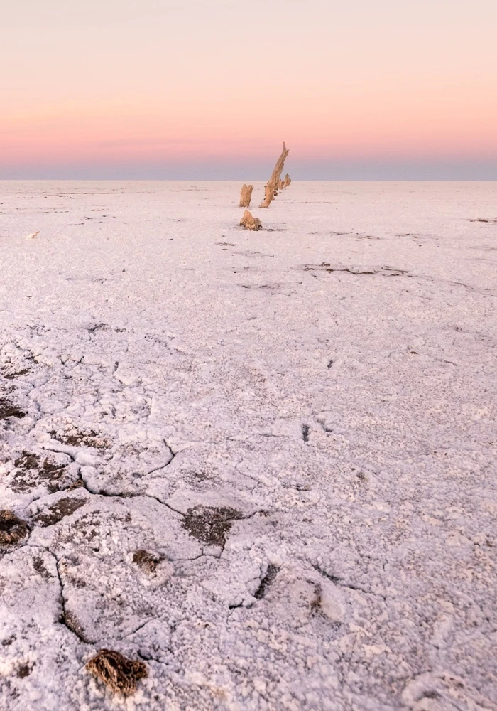 Quiz: Pustynie gorące i lodowe