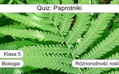 Quiz: Paprotniki