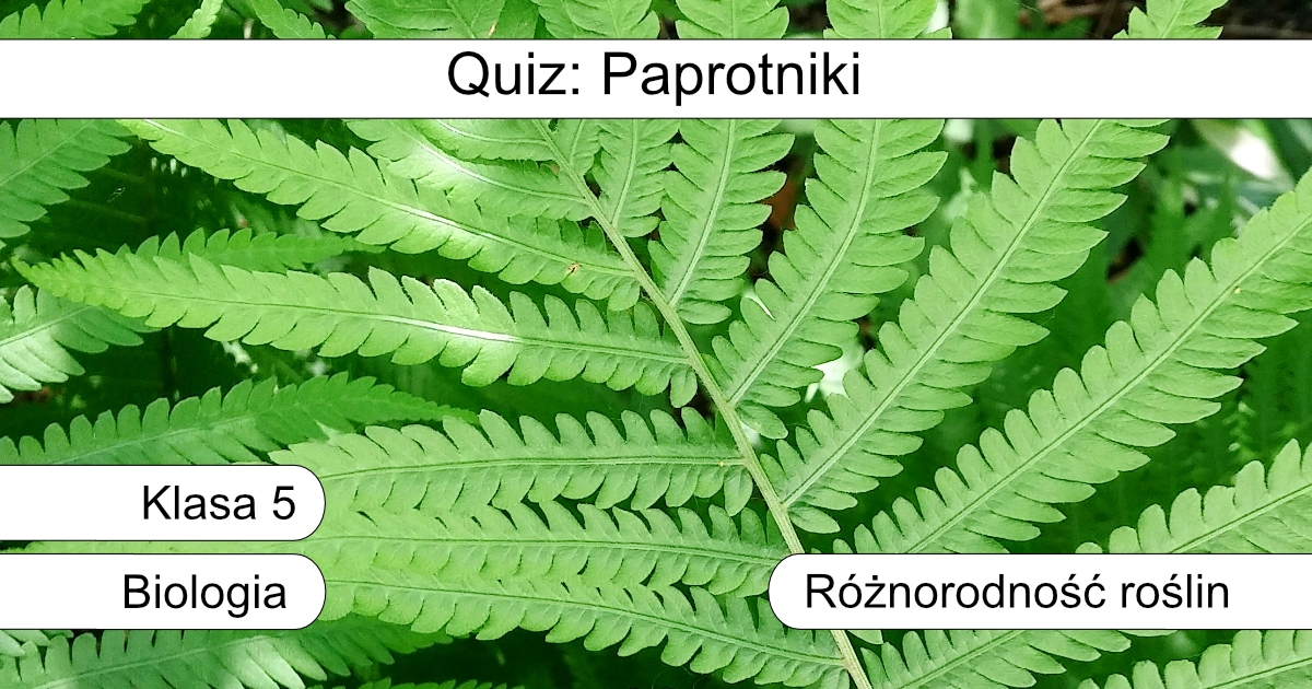 Quiz: Paprotniki