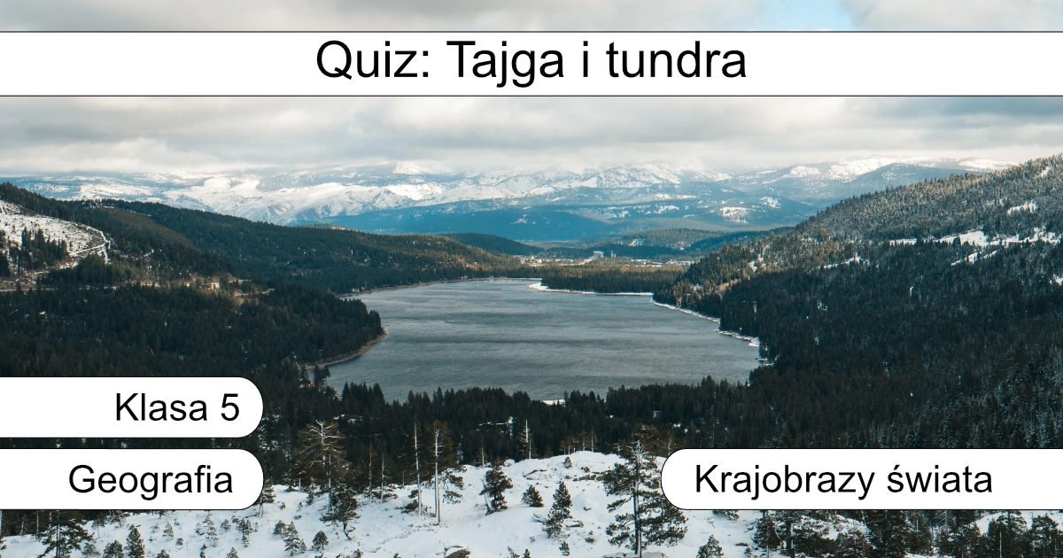 Quiz: Tajga i tundra