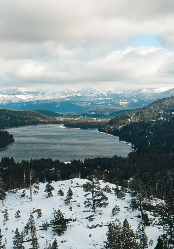 Quiz: Tajga i tundra