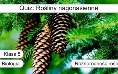 Quiz: Rośliny nagonasienne