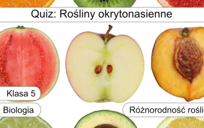 Quiz: Rośliny okrytonasienne