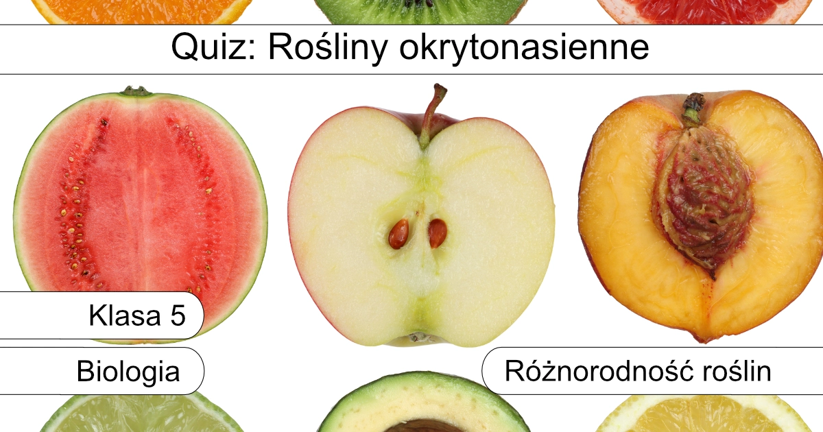 Quiz: Rośliny okrytonasienne