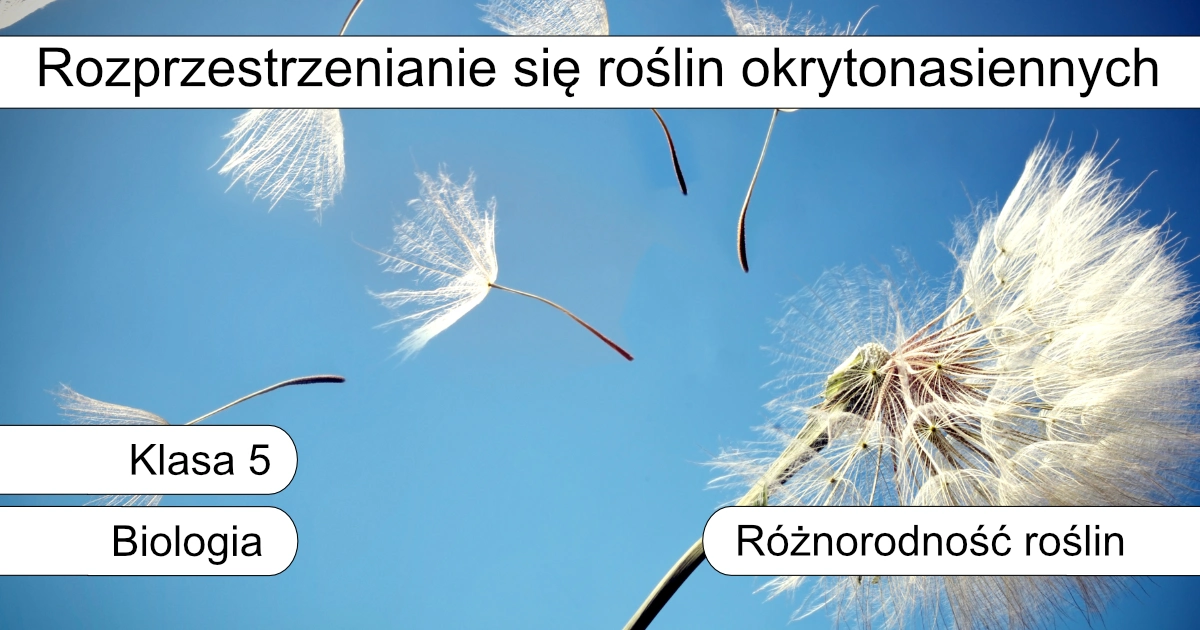 Quiz: Rozprzestrzenianie się roślin okrytonasiennych