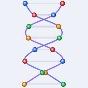 DNA Generator dyplomów