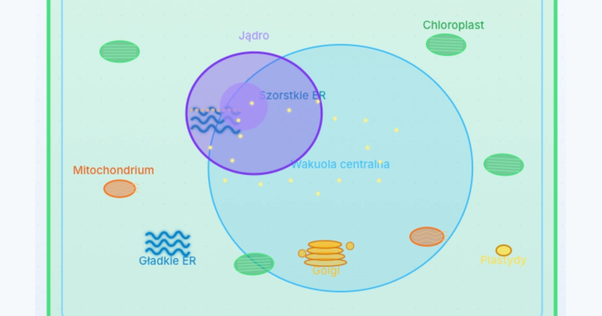 Symulacja: Komórka – budowa roślinna a zwierzęca