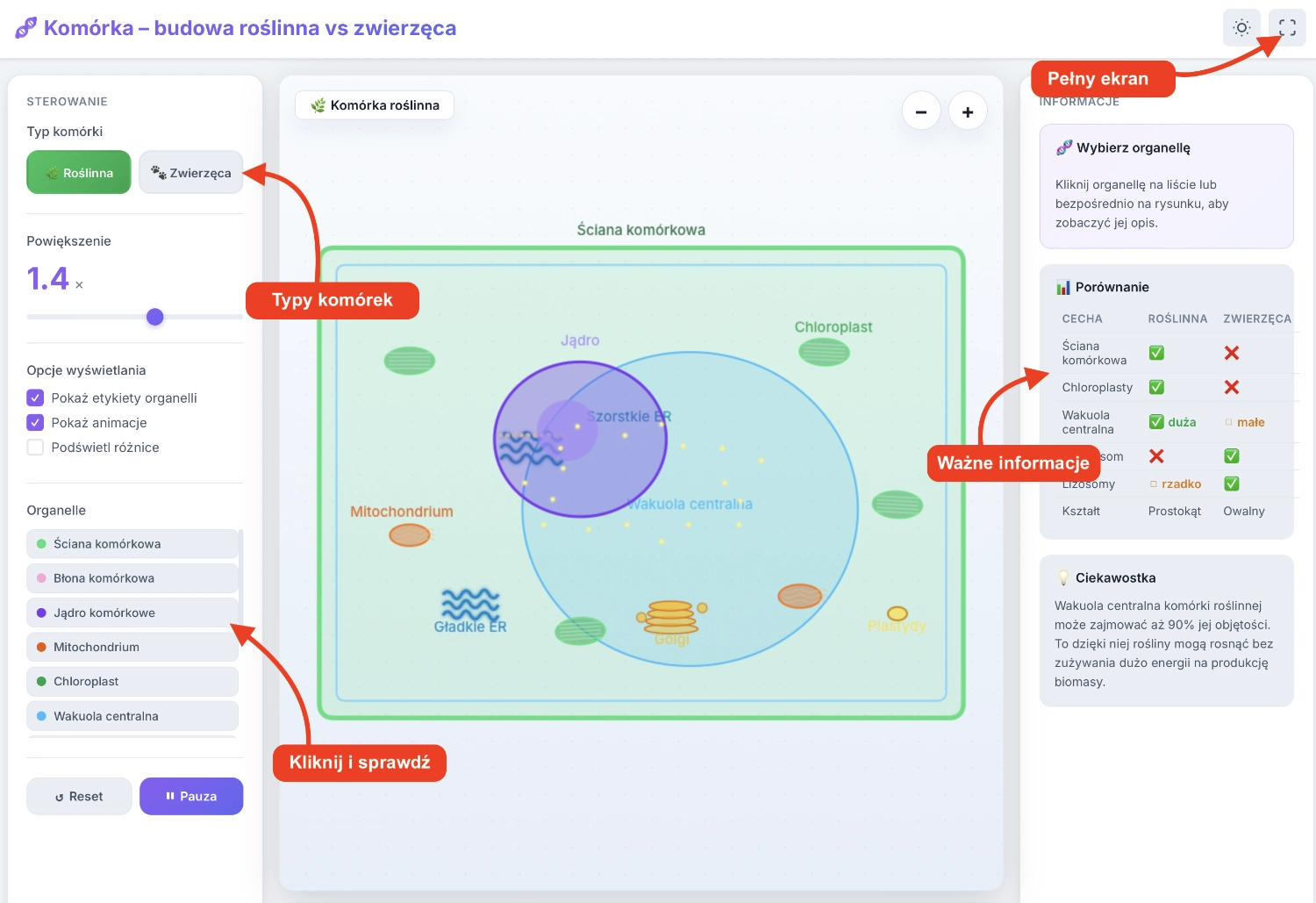 Komórka roślinna i zwierzęca Symulacja: Komórka – budowa roślinna a zwierzęca 41