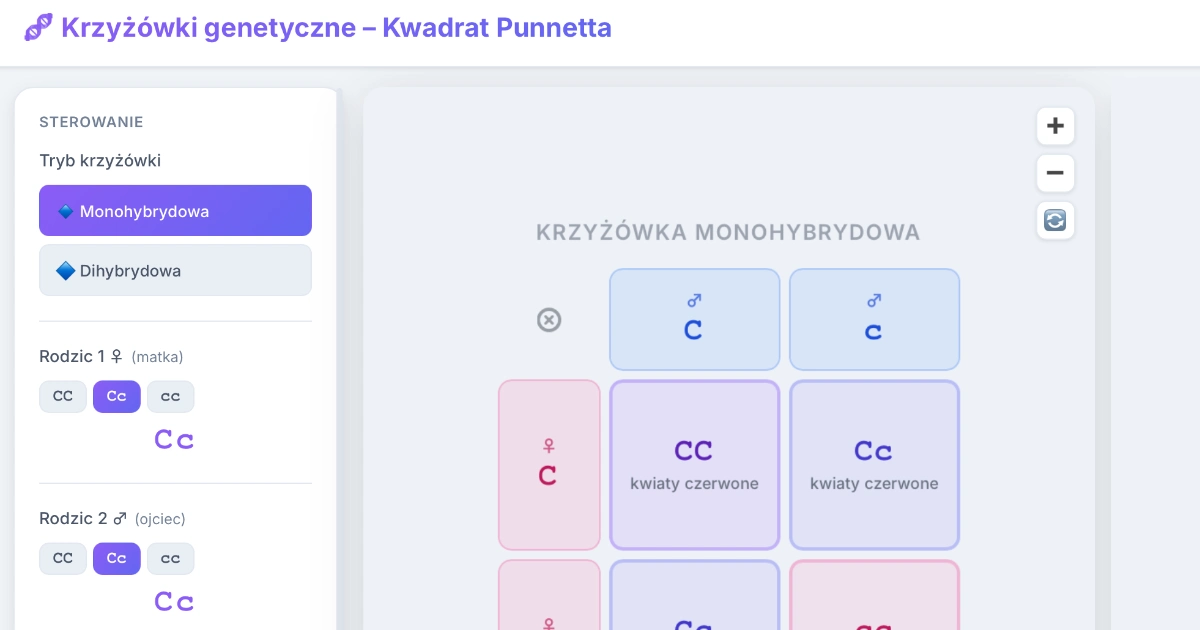 Krzyżówki genetyczne – Kwadrat Punnetta