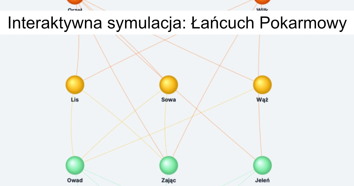 Łańcuch Pokarmowy – Przepływ Energii