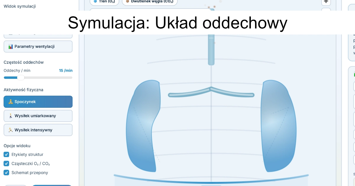 Symulacja: Układ oddechowy