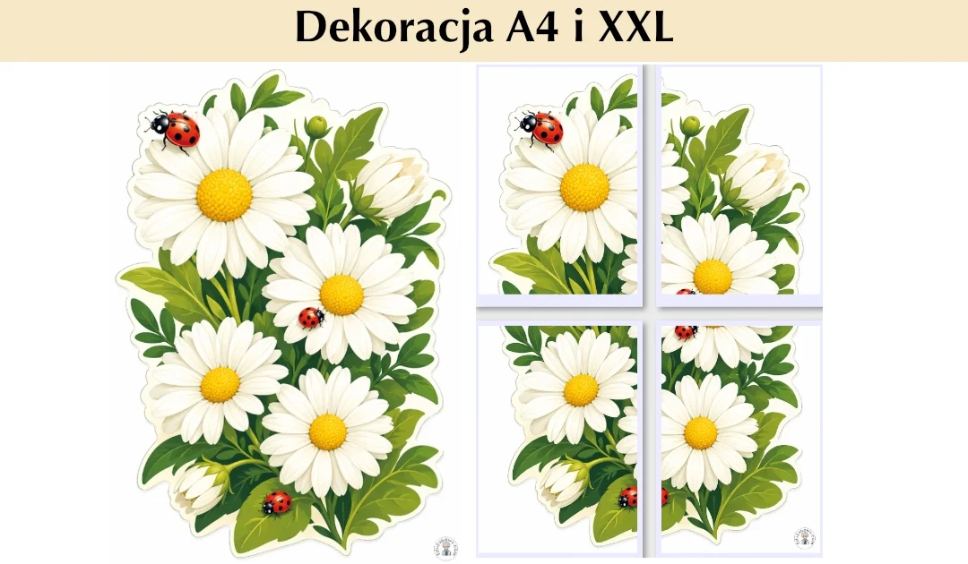 Dekoracje A4 i XXL: Biedronki i stokrotki — dekoracja wycinanka