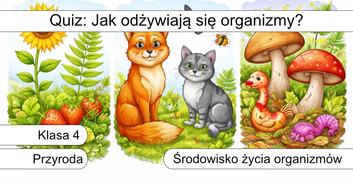 Quiz: Jak odżywiają się organizmy?