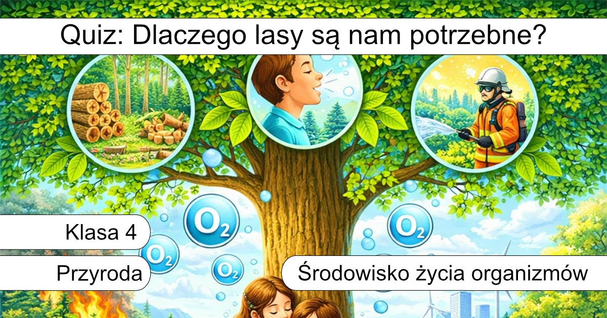 Quiz: Dlaczego lasy są nam potrzebne?