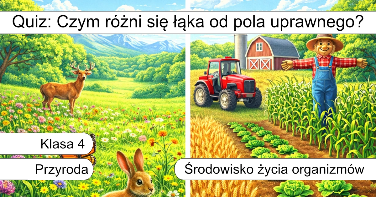 Quiz: Czym różni się łąka od pola uprawnego?