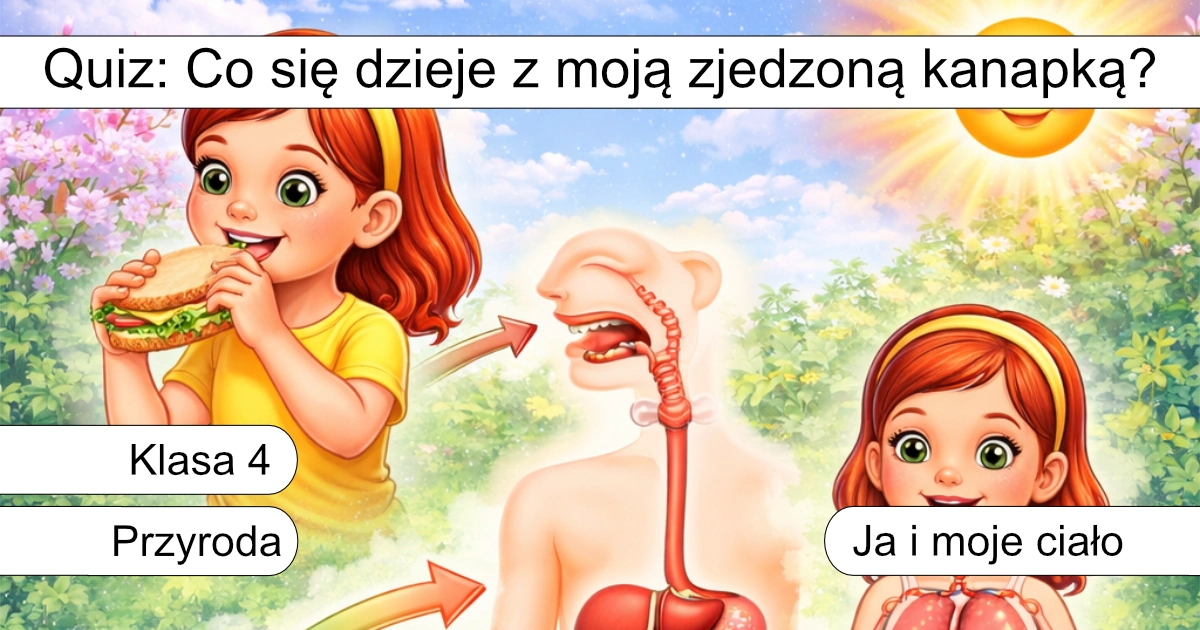 Quiz: Co się dzieje z moją zjedzoną kanapką?