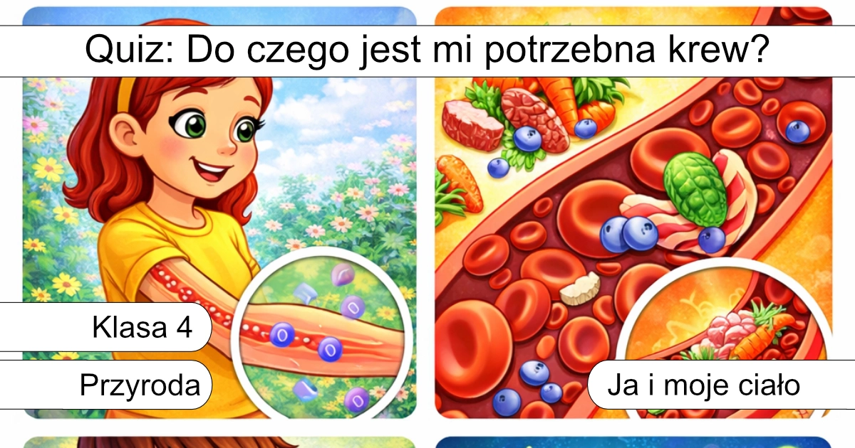 Quiz: Do czego jest mi potrzebna krew?