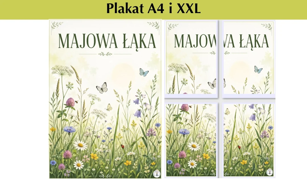 Plakat spokojniejszy, majowe owady na łące