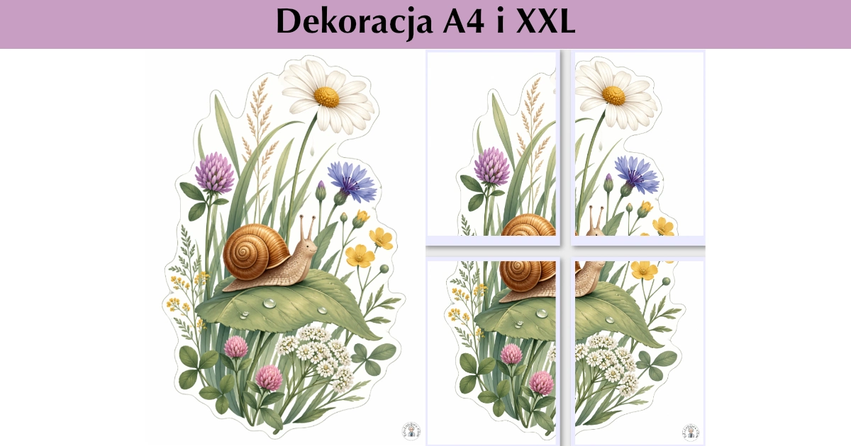 Ślimak i rośliny łąkowe — dekoracja spokojna i premium