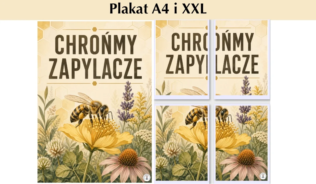 Plakat A4 i XXL: Chrońmy zapylacze