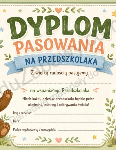 Dyplomy pasowania na przedszkolaka (poziome) 41