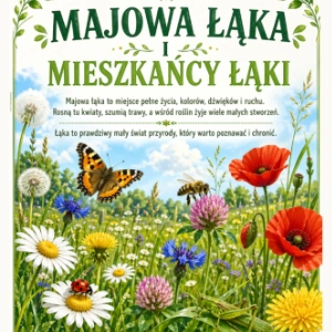Plansze dydaktyczne: Majowa łąka