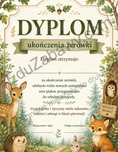 Dyplom ukończenia zerówki 41