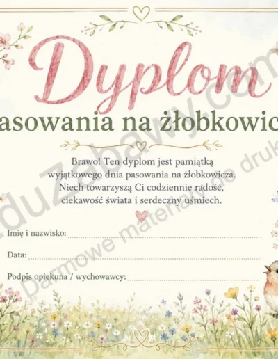 Dyplomy pasowania na żłobkowicza (poziome) 40