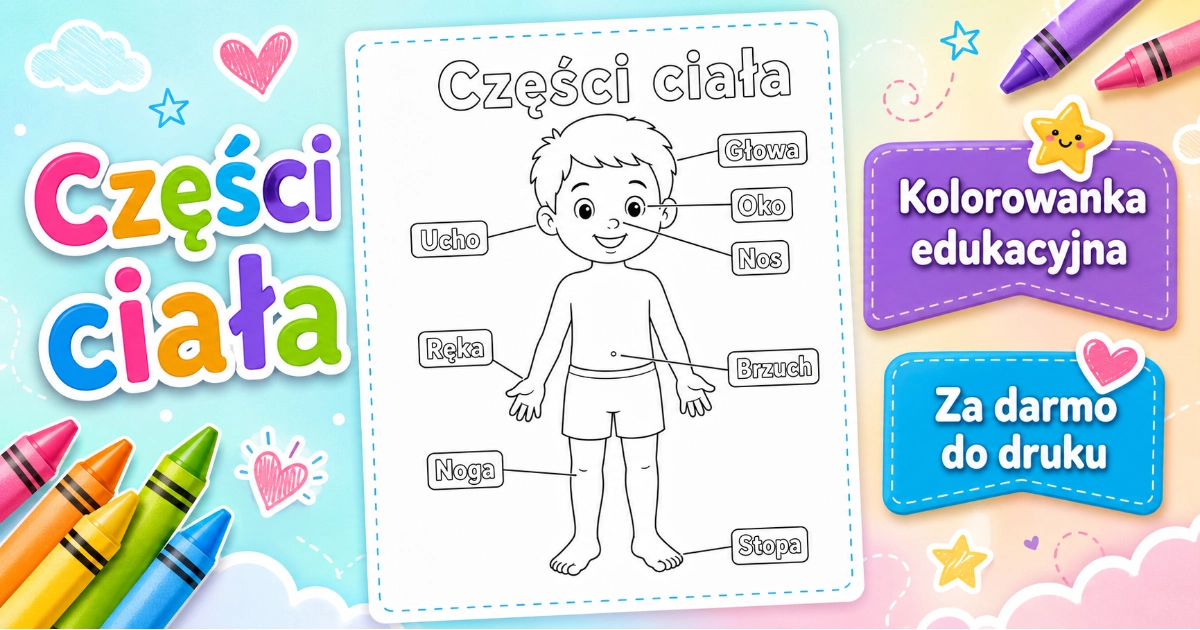 Kolorowanka Części ciała — postać dziecka
