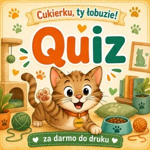Quiz