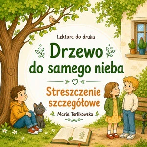 Streszczenie Szczegółowe
